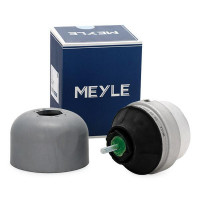 MEYLE 100 199 0040 Опора двигуна ліва VOLKSWAGEN Passat B5/ AUDI A4 B5/A6 C5/ SKODA SuperB